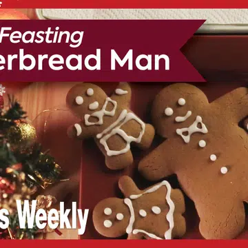 FFL2_XMAS96_Gingerbread_Man