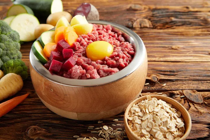 Wholesome meal for a pet dog with diced raw meat, fresh vegetables and an egg yolk with ingredients and cereal alongside on an old rustic wooden floor
