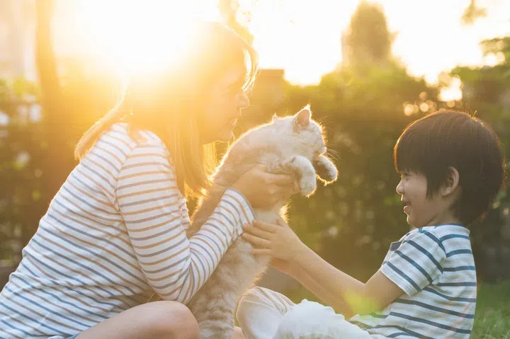 Asian mother and her son playing with cat in the park