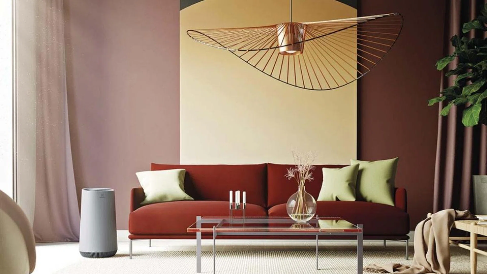 Home & Decor