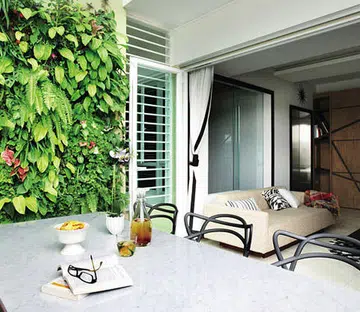 Joo Chiat penthouse with vertical garden