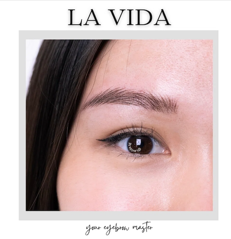 LaVida-Wildstroke-Brows-Spa-Awards-2024
