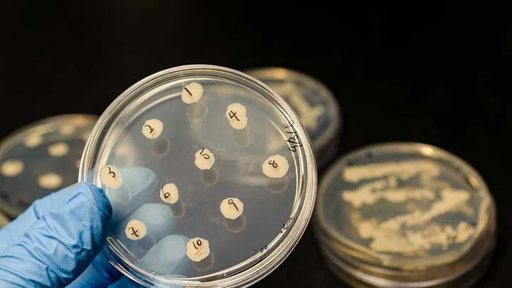 Our skin's microbiome is comprised of more than one trillion bacteria.