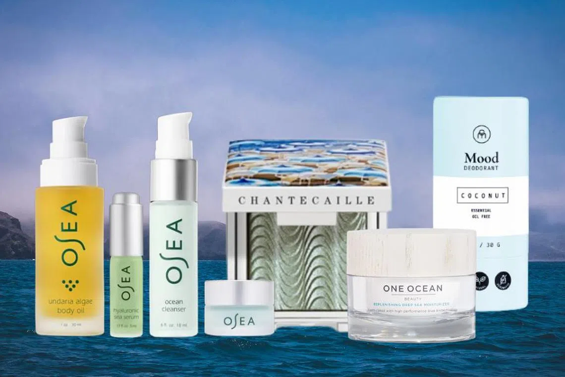 Here's What You Should Know About Blue Beauty | The Singapore Women's ...