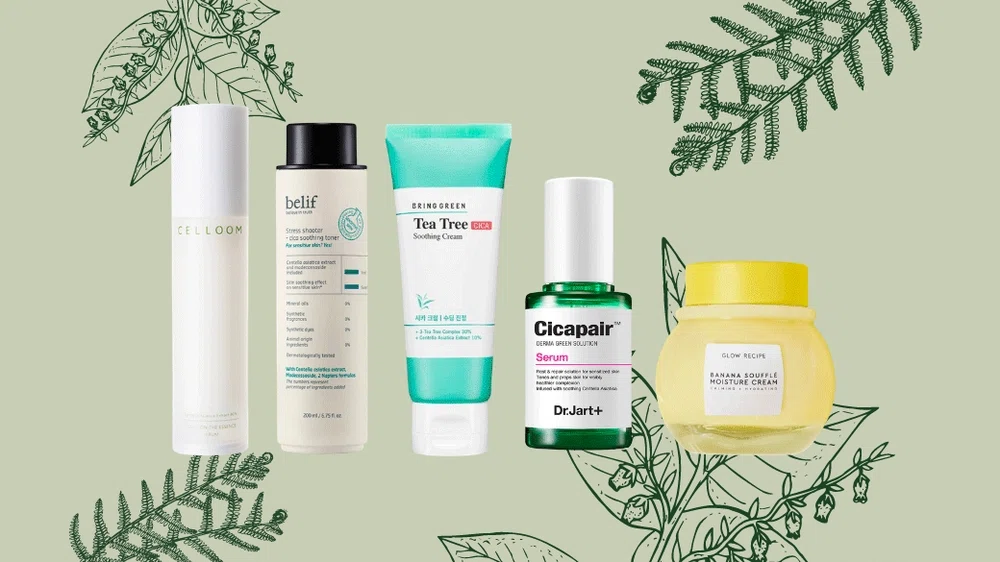 Centella Asiatica Cica in asian korean skincare