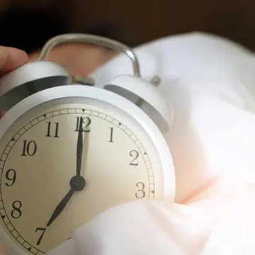 Dolphin chronotypes only sleep with half of their brains, and often struggle to achieve a restful slumber.