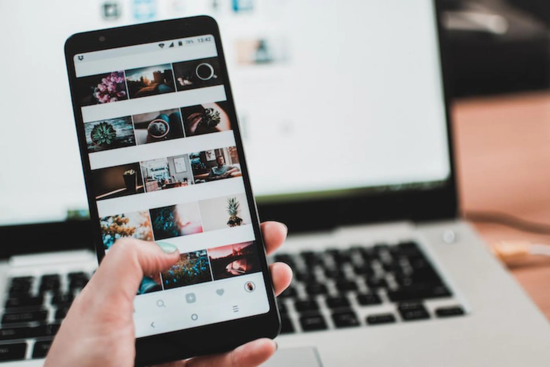 Credit: Envato Elements