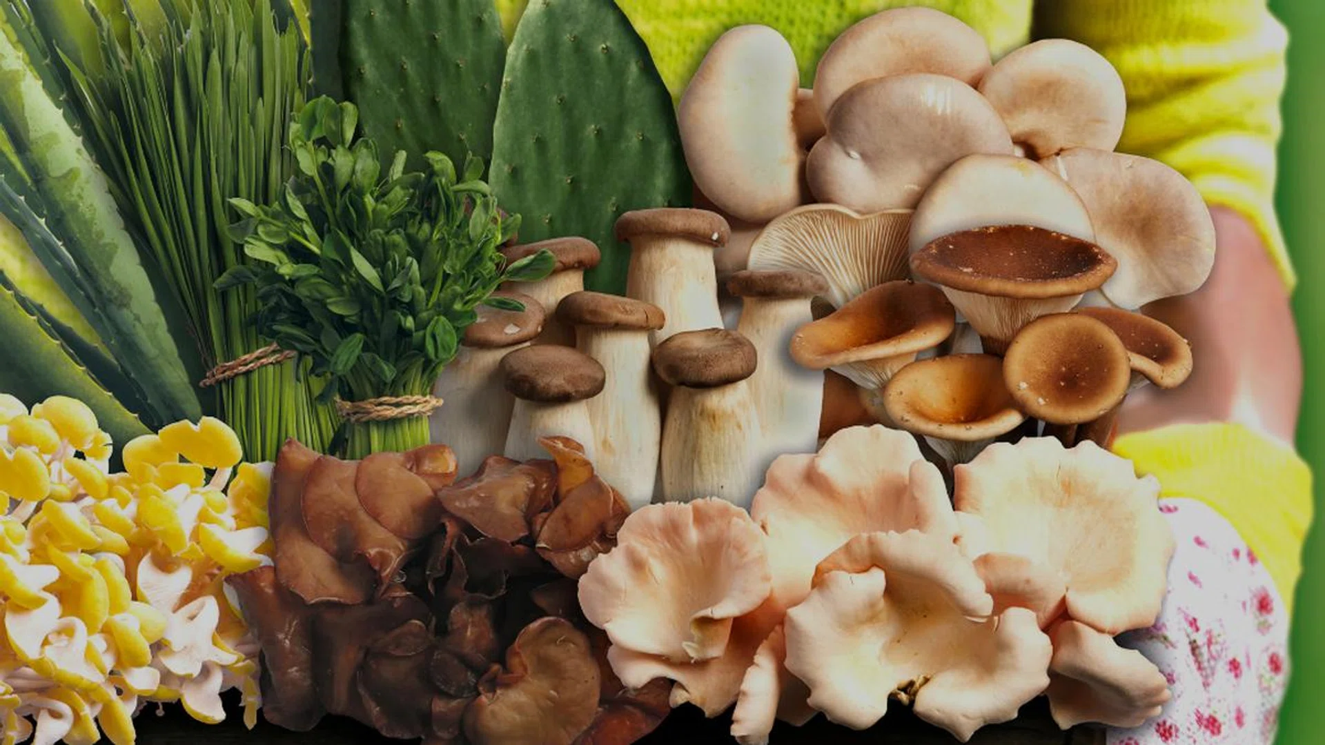 10 Singapore Farms To Get Fresh Produce And More