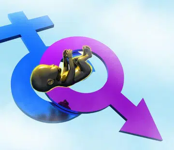 sex during ovulation to conceive boy