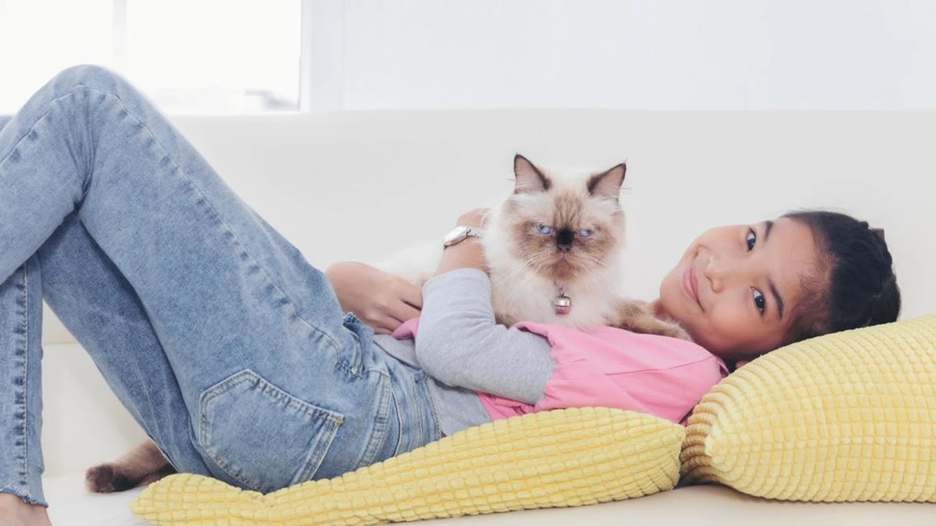 pet-adoption-singapore-helpful-tips-animal-welfare-groups