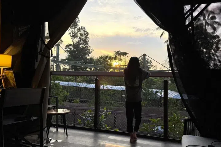 crocodile lodge review mandai glamping 3
