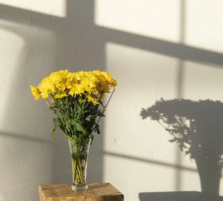 Prefer herbal remedies? Opt for a cooling Iced Chrysanthemum Goji Berry tea sweetened by honey. Photo by Jill Burrow/ Pexels