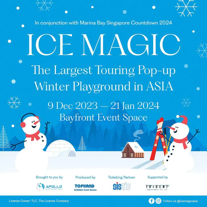 Ice Magic: Winter Wonderland