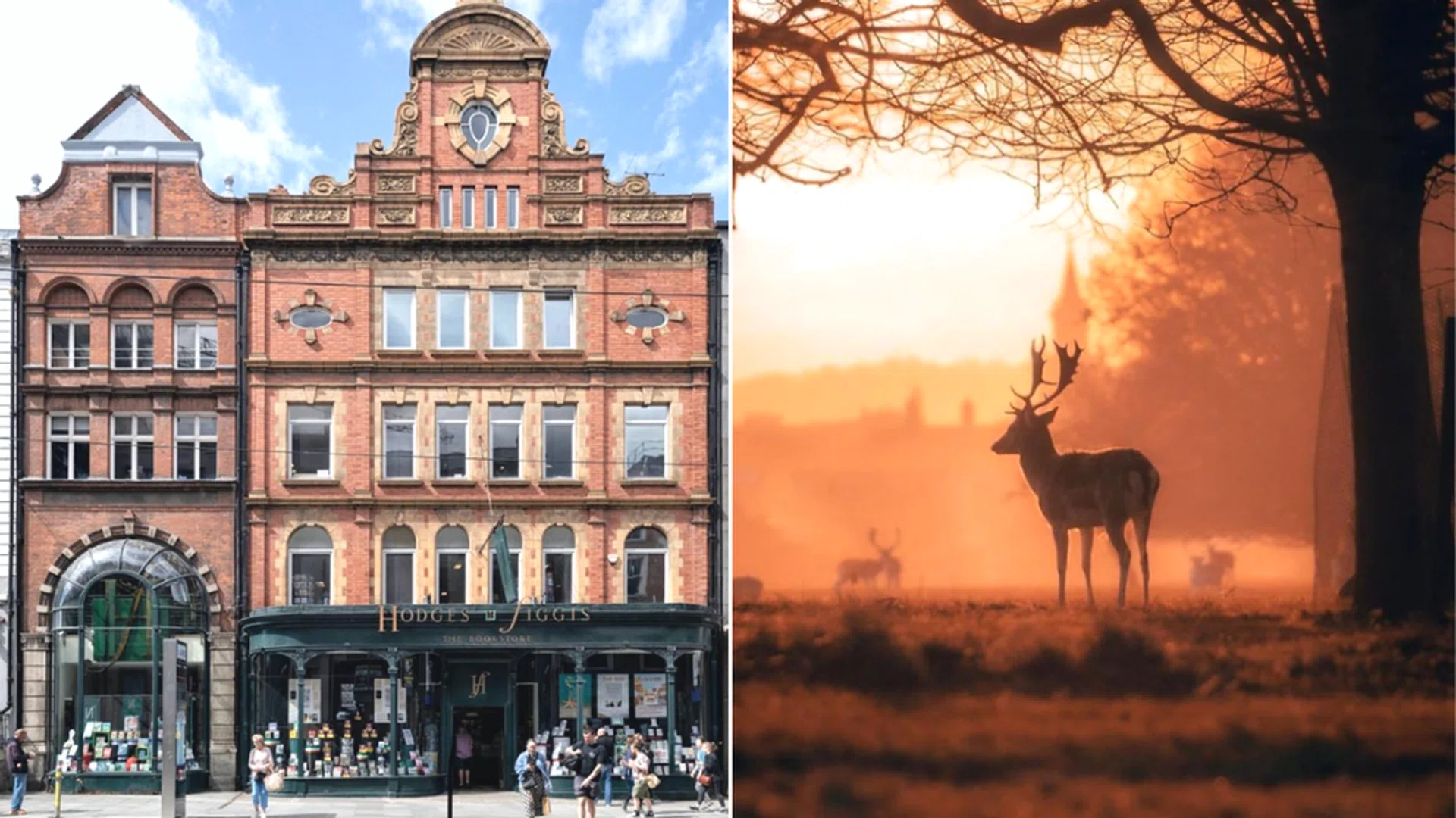Best Things To Do & Eat In Dublin, Ireland