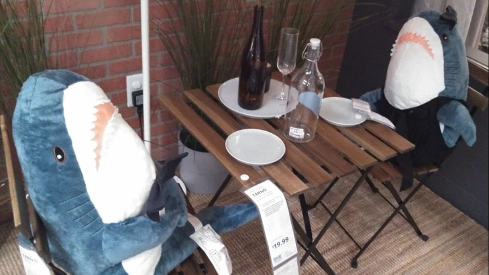 Twitter/oaksandcompany