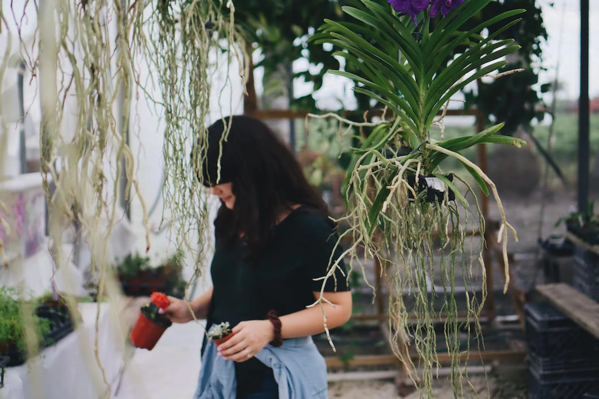 6-ways-to-mozzie-proof-your-home-and-prevent-dengue