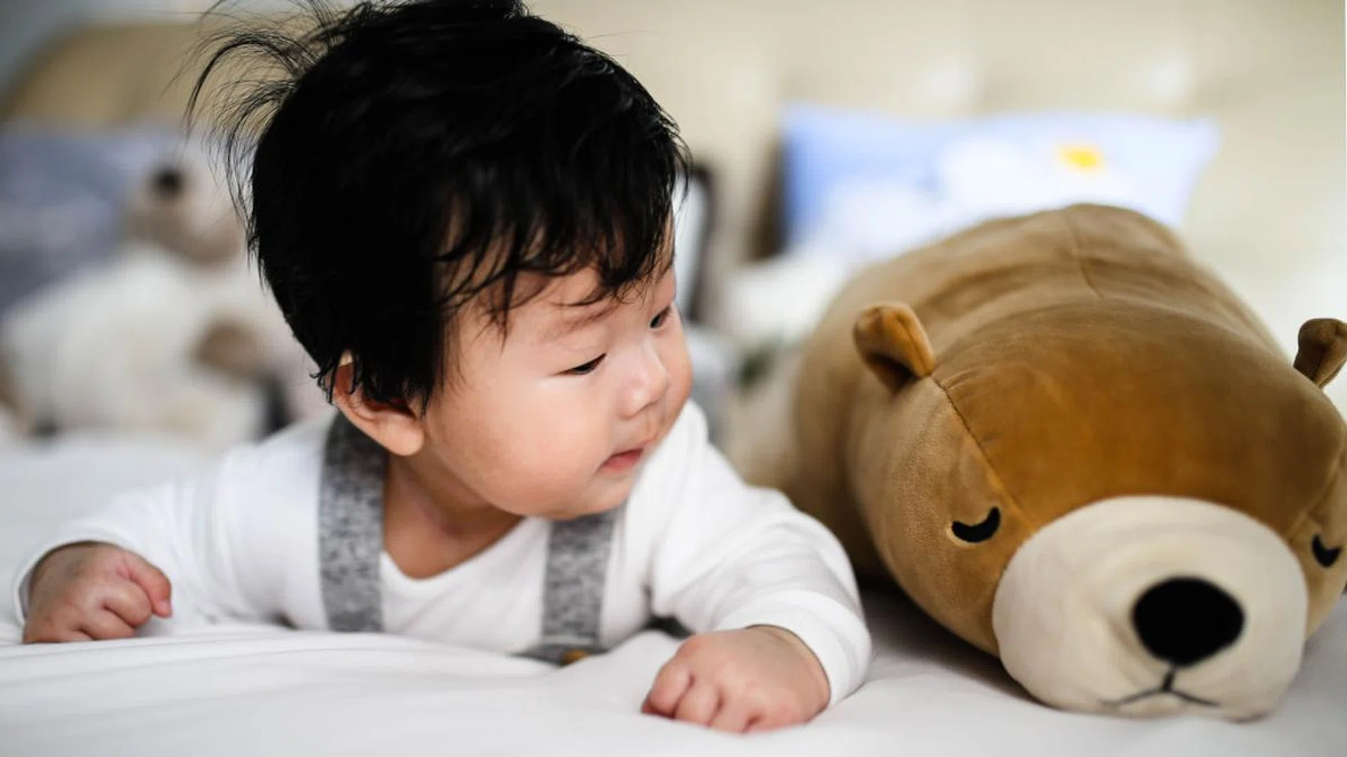 baby gut health immune system