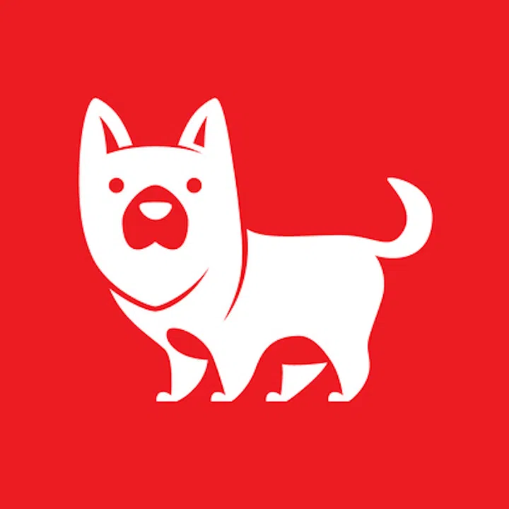 chinese zodiac forecast year of dragon 2024 dog