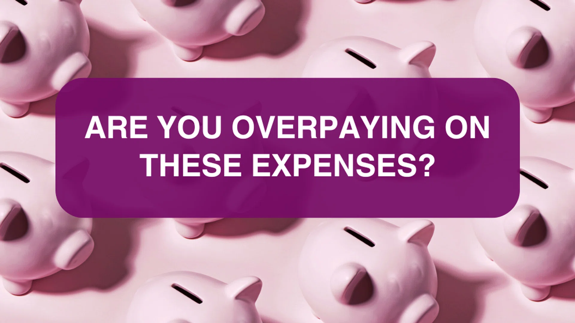 Credit: anilakkus/iStock/Getty Images Plus