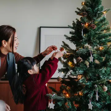 Christmas trees singapore