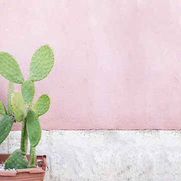 Prickly pear seed oil