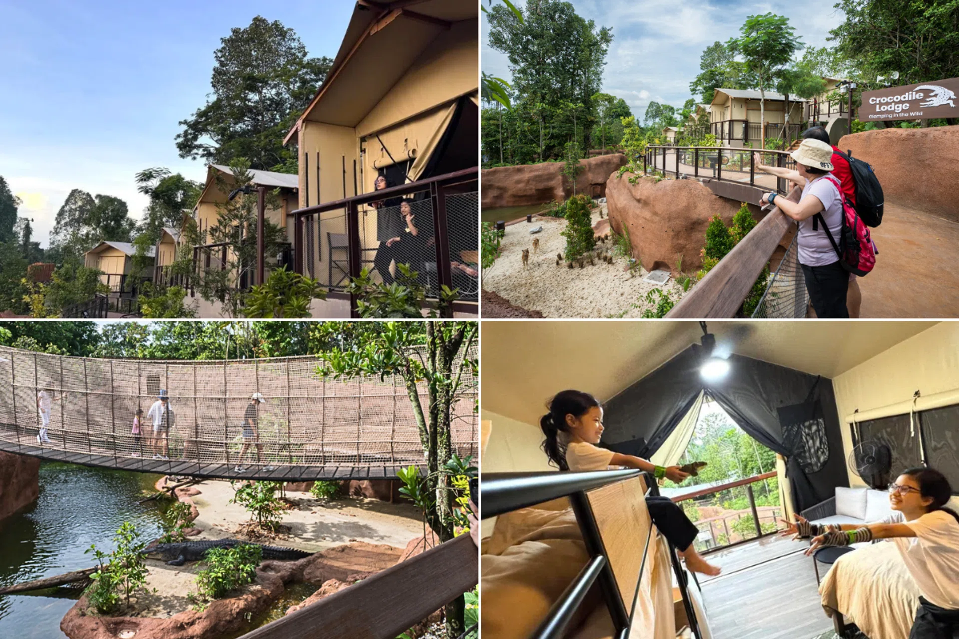 crocodile lodge review mandai glamping