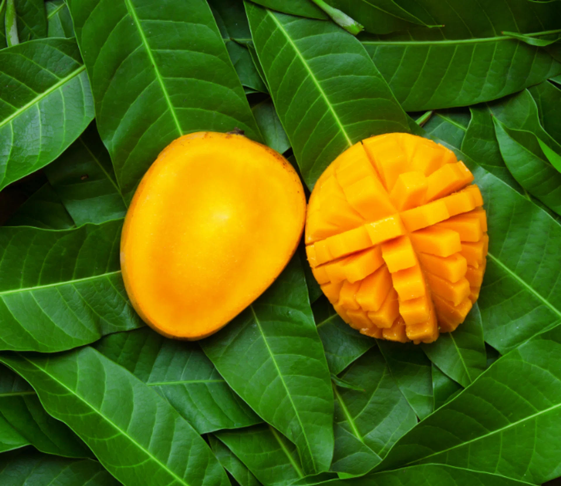 Collagen boosting foods skincare diet