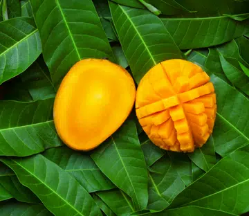 Collagen boosting foods skincare diet