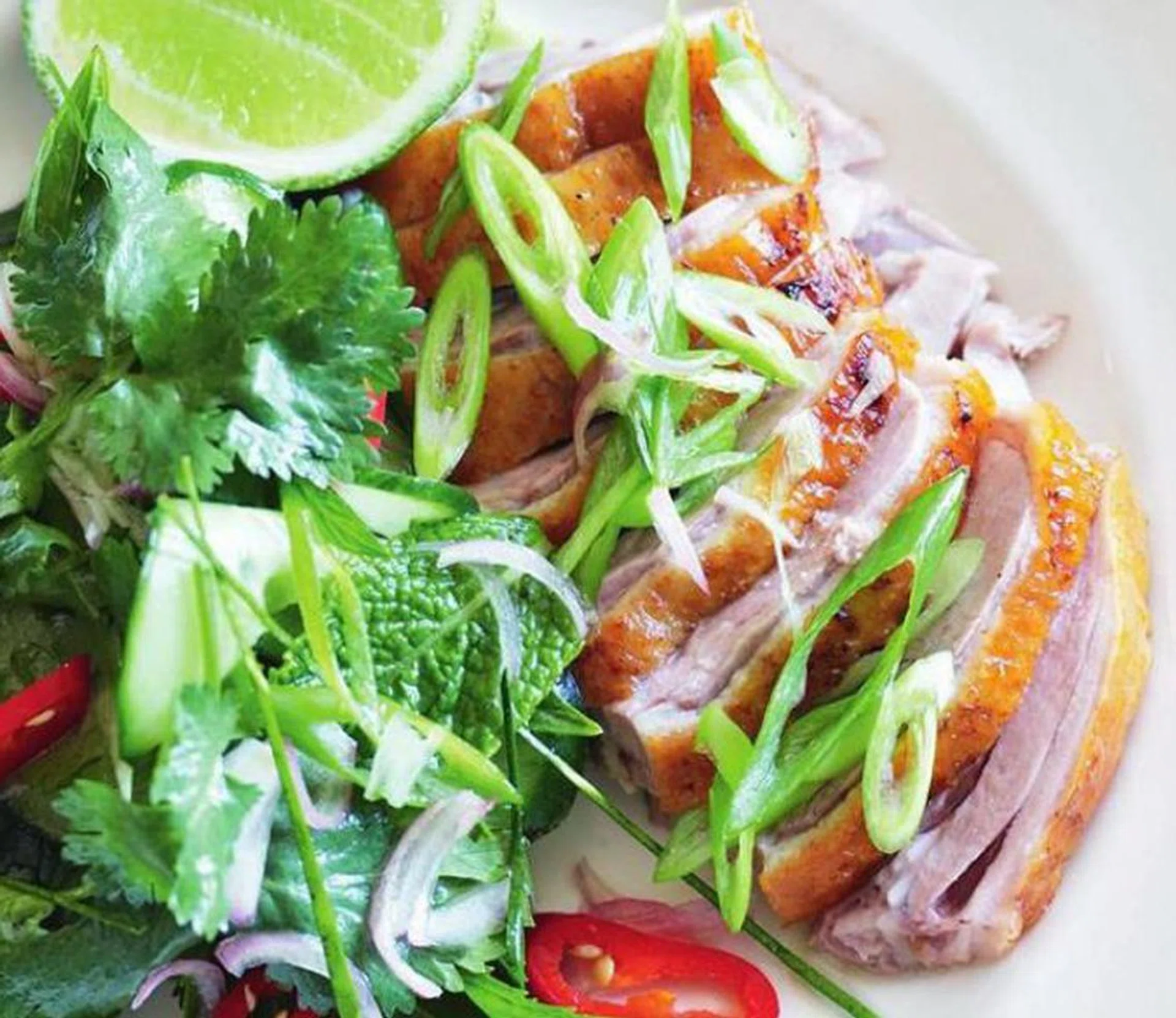 Tangy Duck Salad