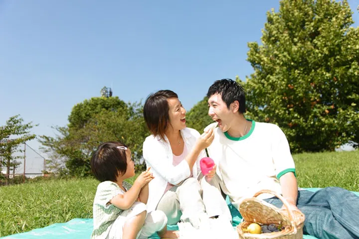 32615521 - familiy picnic