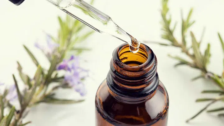 Since ancient times, this aromatic herb has been believed to have properties to improve the memory.