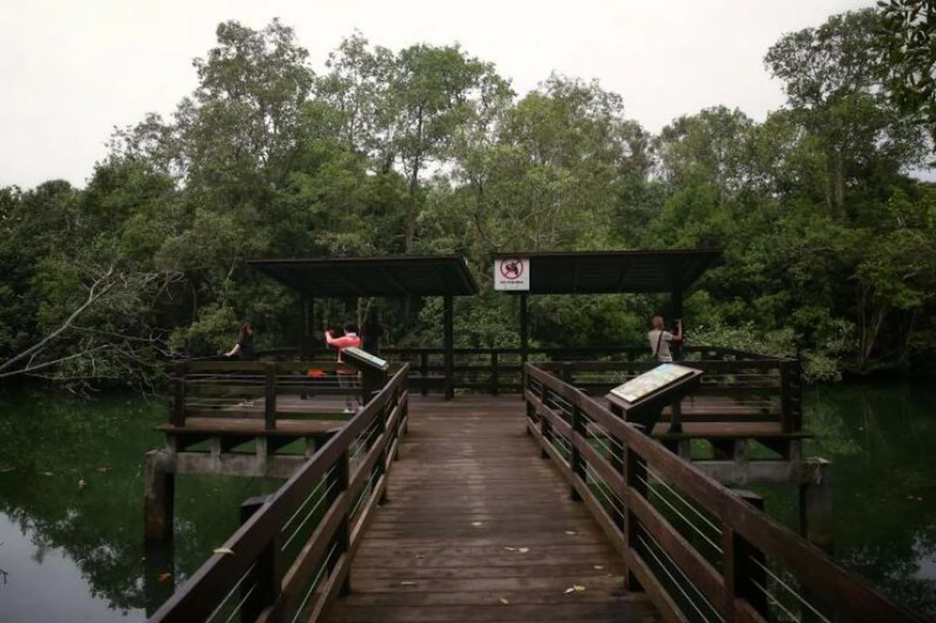 nhb-heritage-trail-guide-local-wildlife-colonial-bungalows-quarry-sites-eastern-singapore-pasir-ris