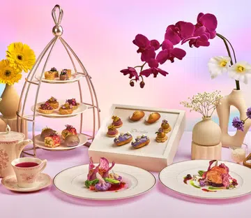 IWD promos 2026 international women’s day