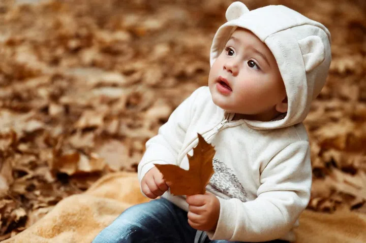 Sweet baby in autumn forest, cute little boy sitting on the dry tree leaves in the park, enjoying autumnal holidays, happy carefree childhood
