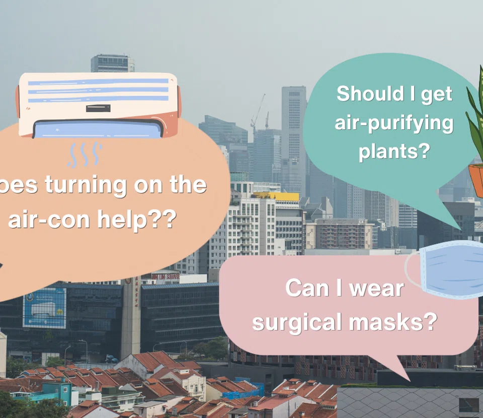 aircon, plants, masks, how to reduce haze effects