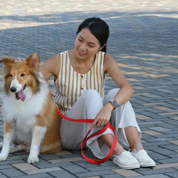 how-to-keep-your-pets-cool-in-hot-humid-weather