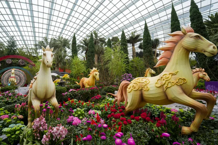 gardens by the bay cny horse-themed spring blossoms display