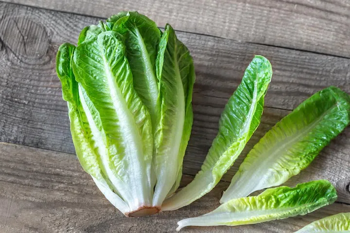 Romaine lettuce on the wooden background