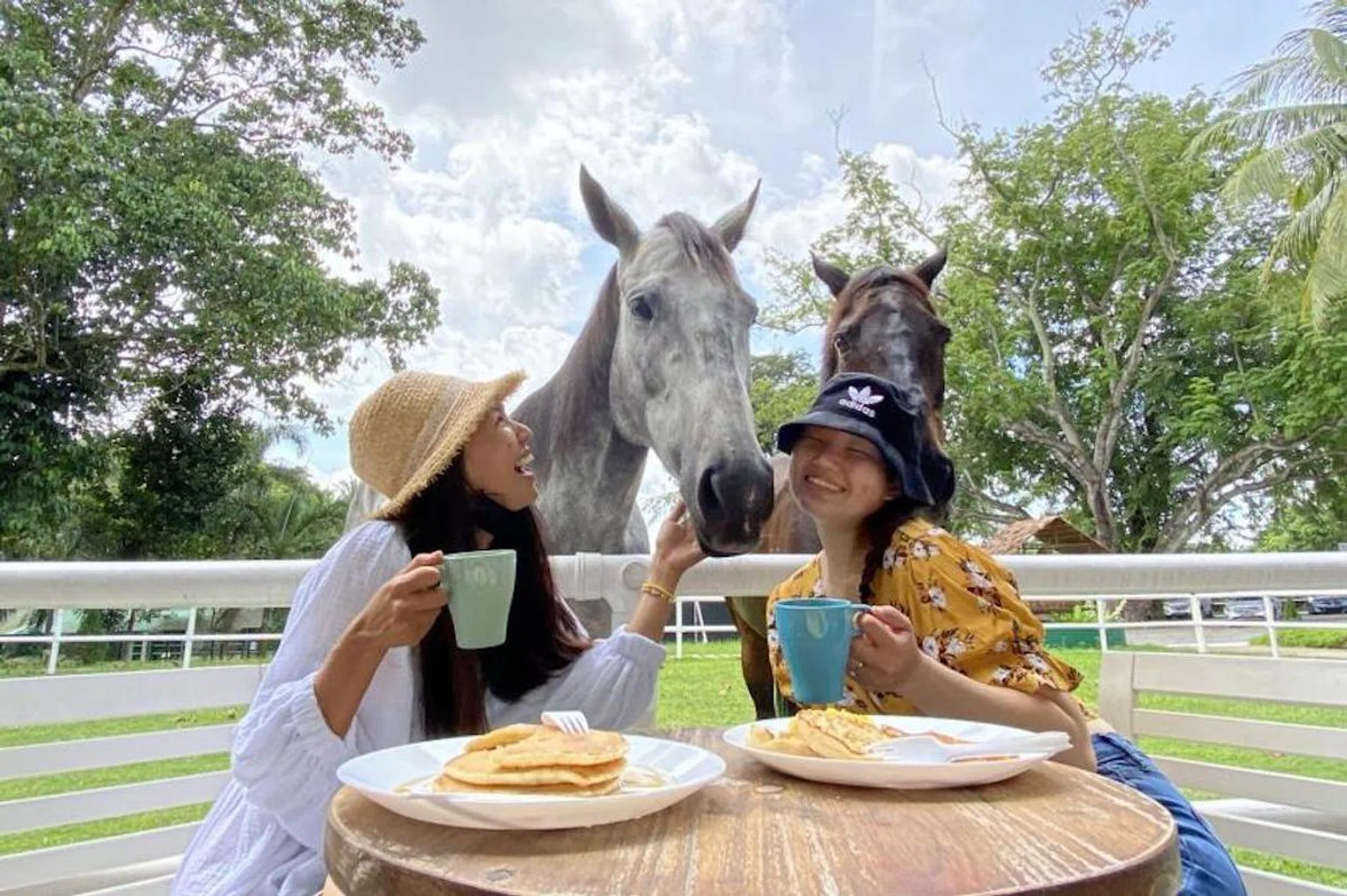 fun-creative-novel-ways-family-staycation-singapore