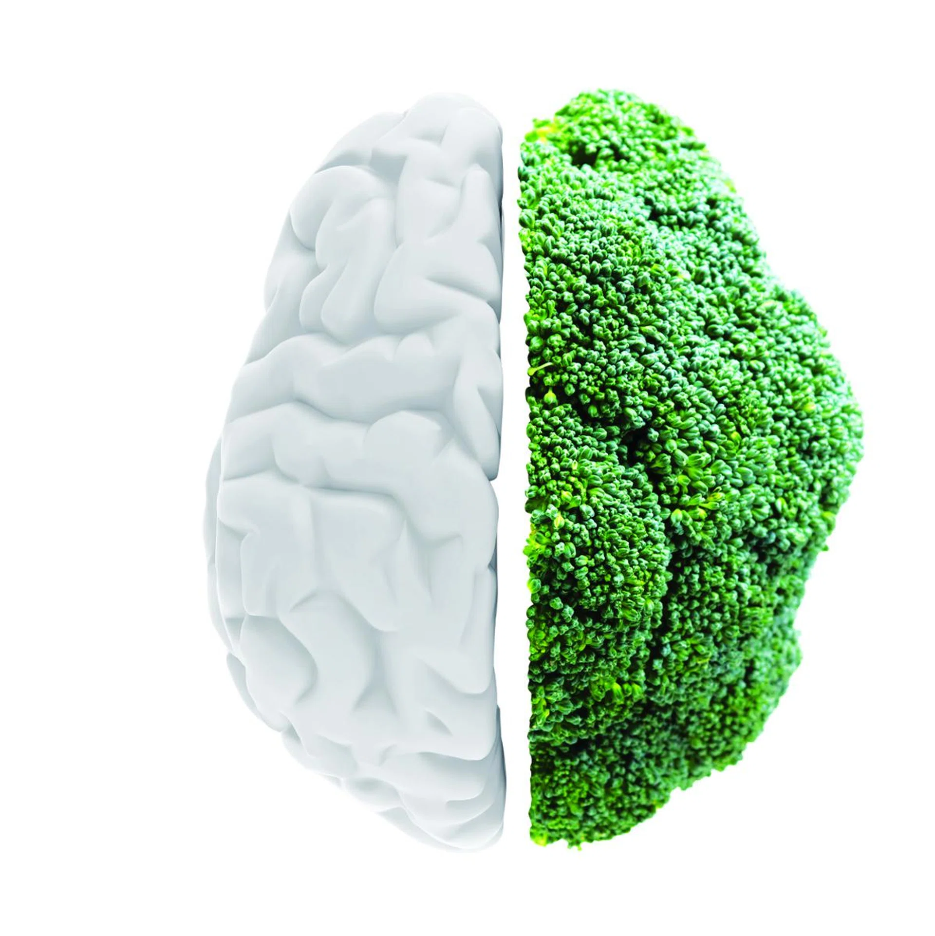 10860192 - broccoli