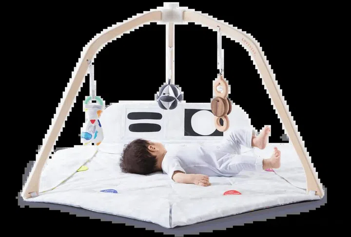 The Play Gym comes with fabric tags that you can use to clip on the toys from the Play Kits. Photo: Lovevery