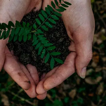 sustainability