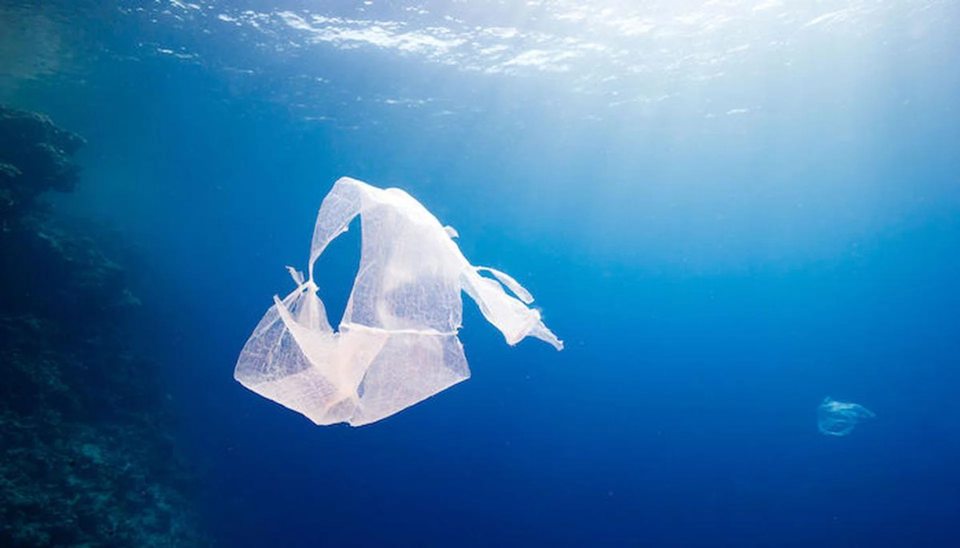 Environmental pollution - a discarded plastic bag floats next to a tropical coral reef