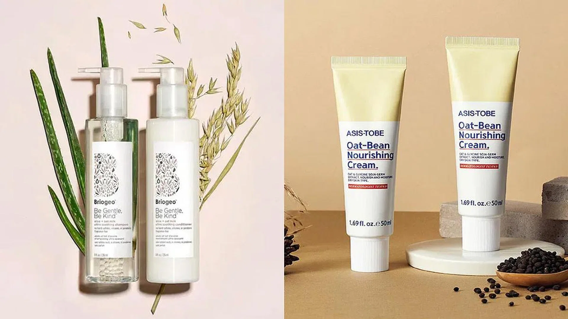 BriogeoSephora, Asis-Tobe