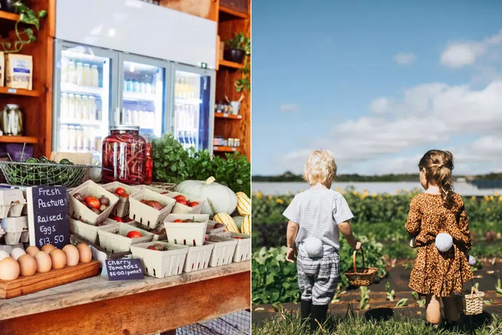Three Blue Ducks’ produce store and spacious outdoor grounds for children to run around