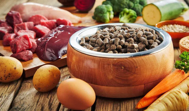 Bowl of dried pet kibble with fresh ingredients for a healthy diet including eggs, vegetables, chopped raw meat, offal and grains