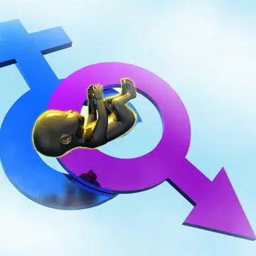 sex during ovulation to conceive boy