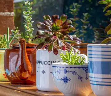 10 Home Items You Throw Out All The Time That Can Actually Be Reused