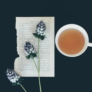 Herbal Teas To Beat The Festive Bloat_Featured