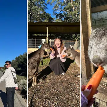 family friendly things to do in melbourne australia